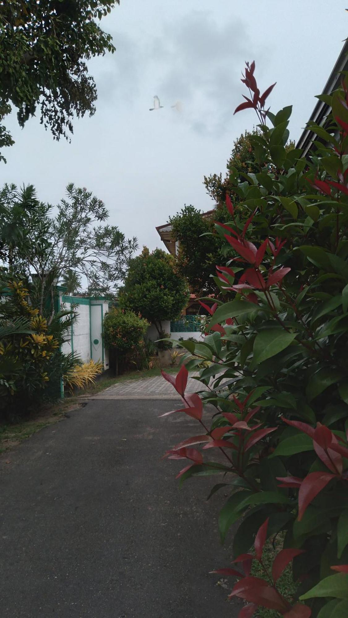 Ch Rooms - Transit Airport Negombo Luaran gambar